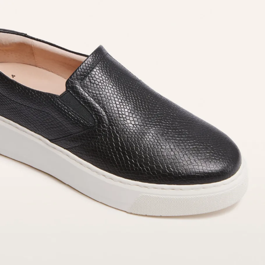 FRANKIE4 Black Sneakers-Maxwell