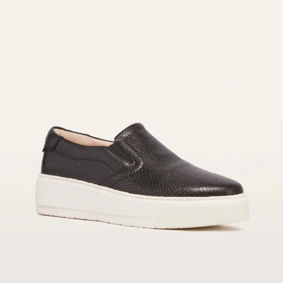FRANKIE4 Black Sneakers-Maxwell