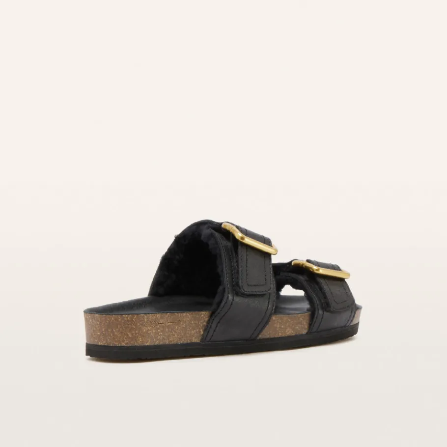 FRANKIE4 Slides-Nico