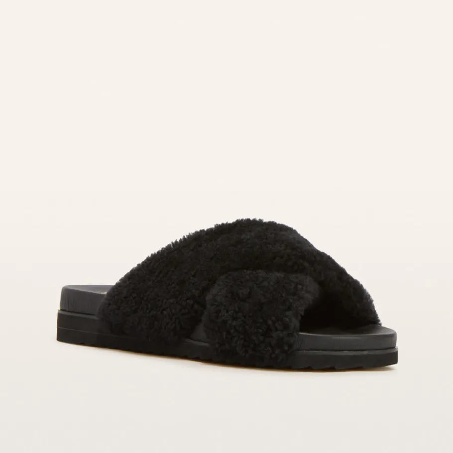FRANKIE4 Slides-Rebel II