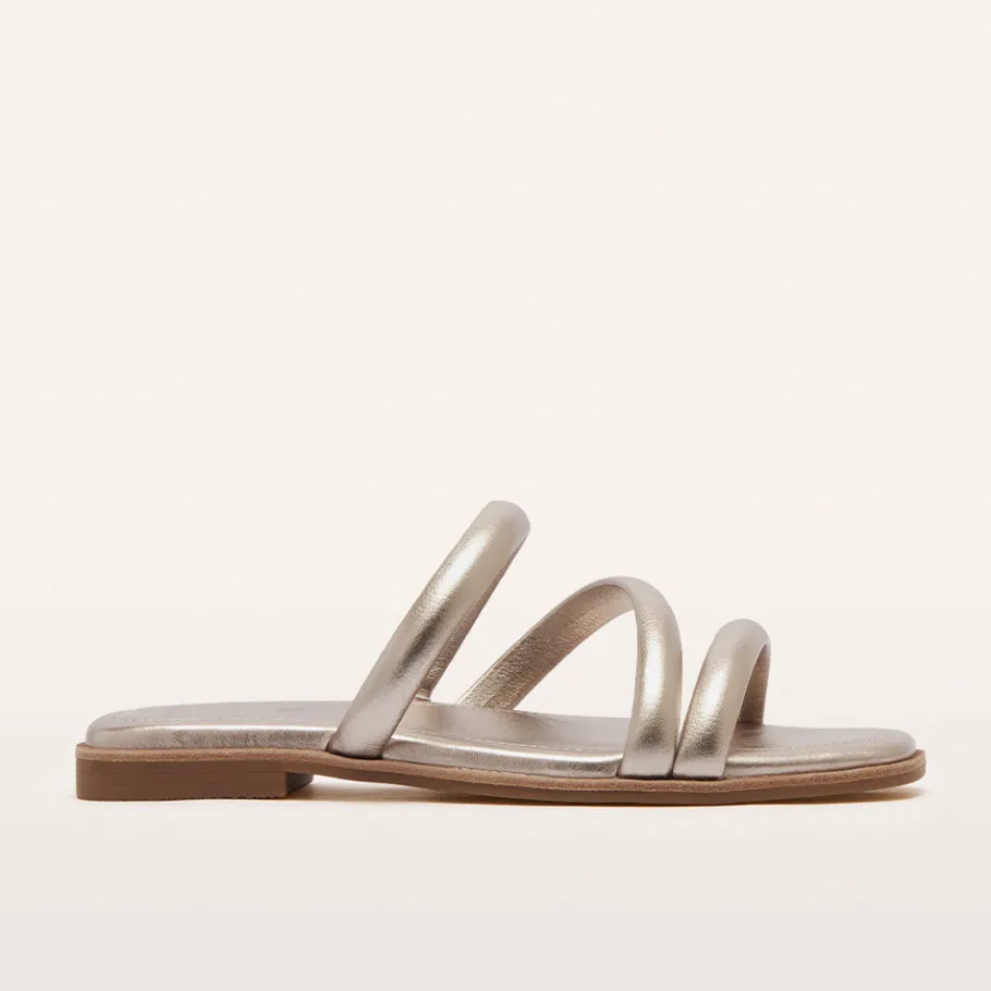 FRANKIE4 Slides-Remy