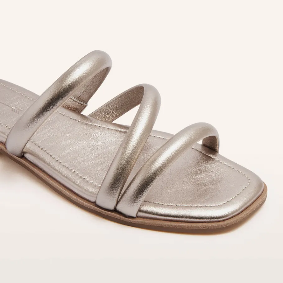 FRANKIE4 Slides-Remy