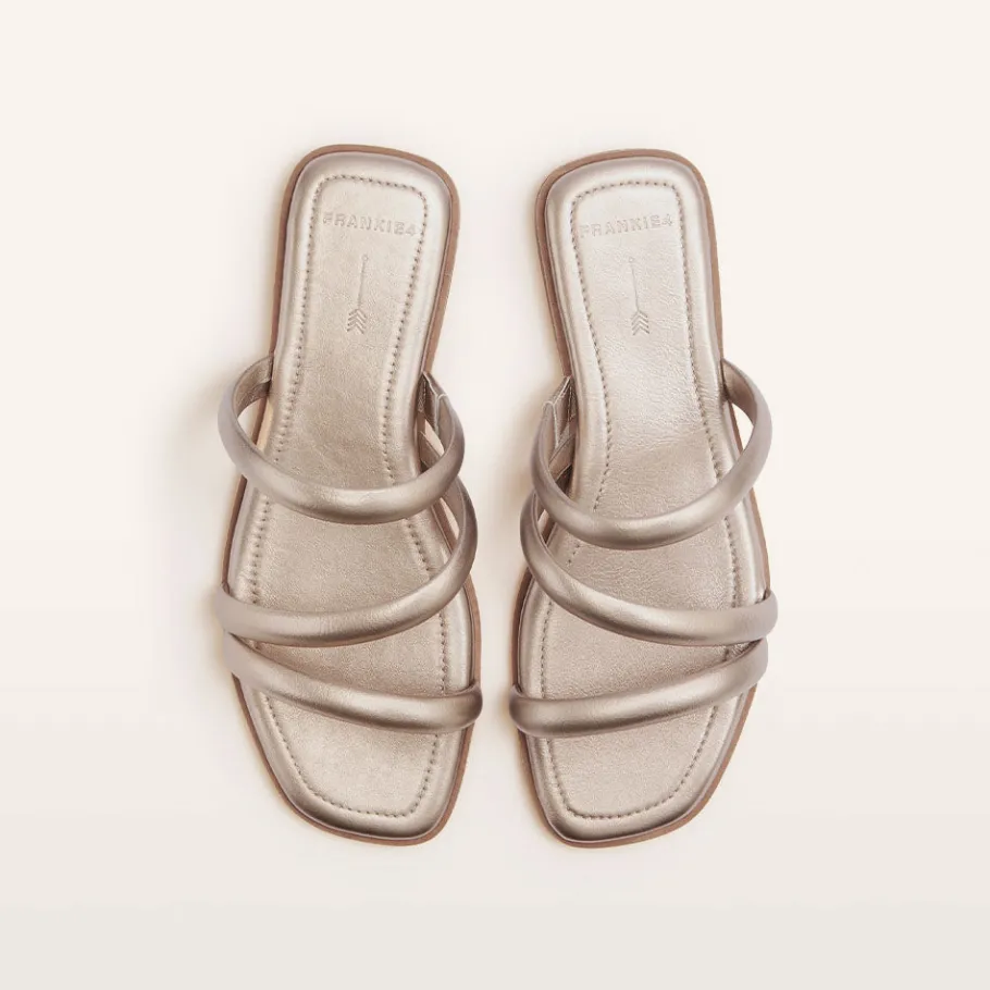 FRANKIE4 Slides-Remy