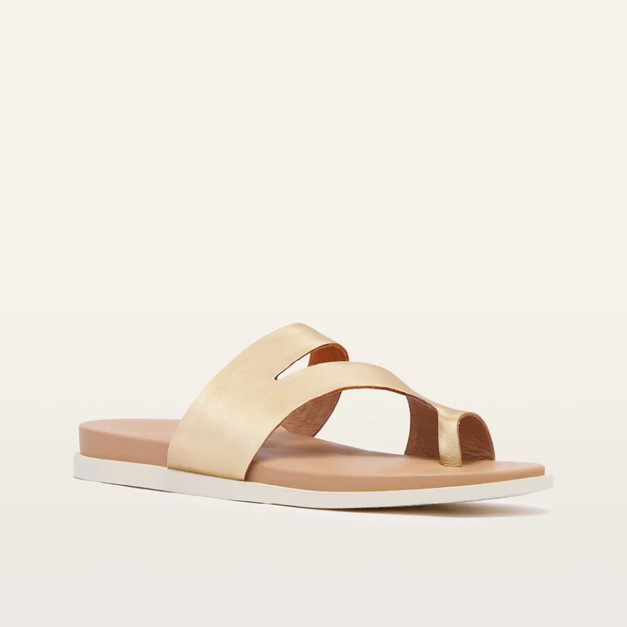 FRANKIE4 Slides-Riviera