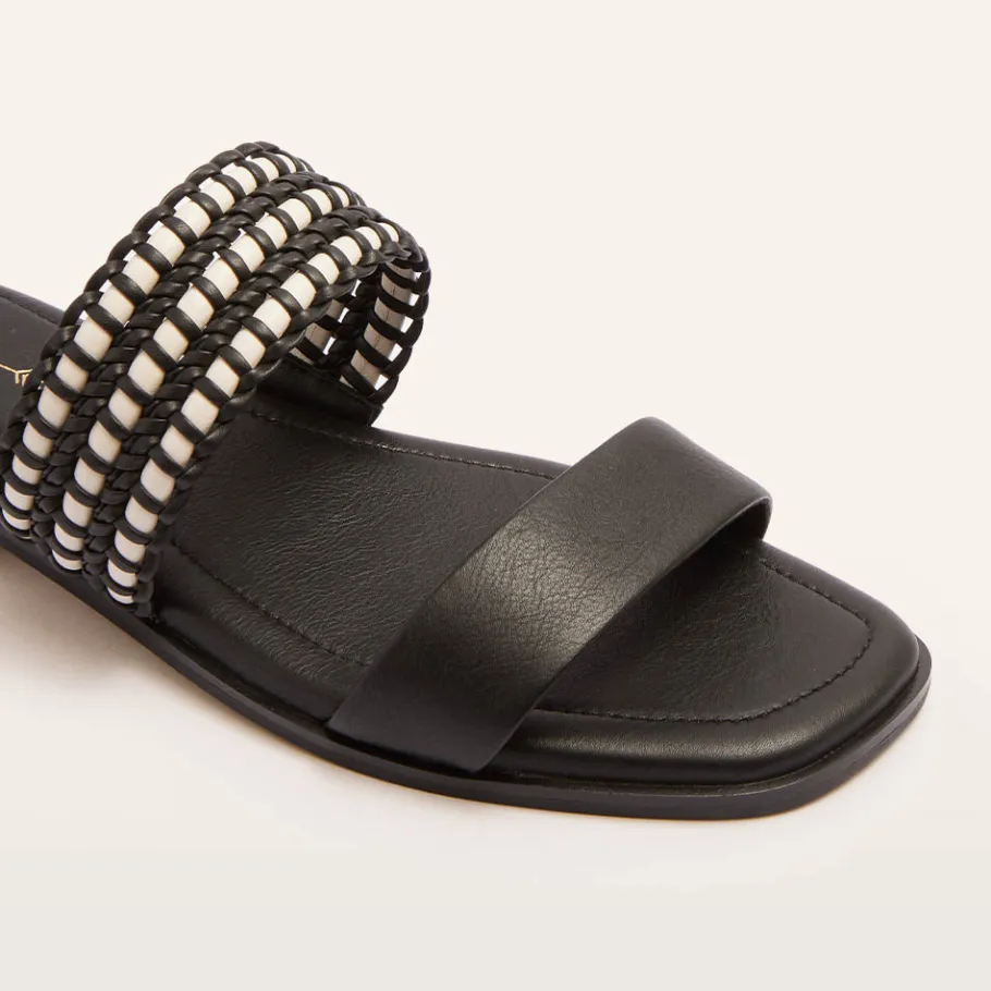 FRANKIE4 Slides-Sloane